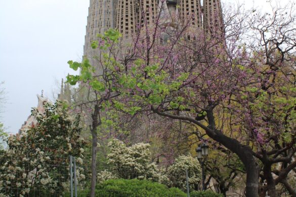 La Sagrada Familia