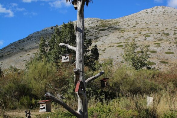 Los Chozos de Villafría